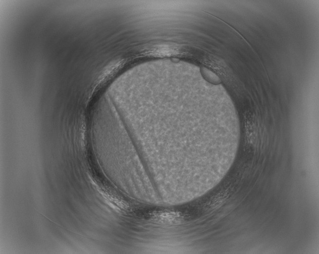 X0000060550304200511171546