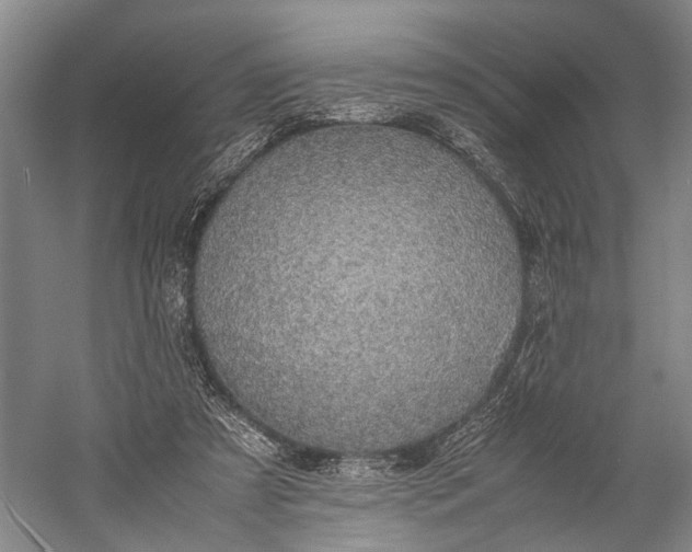 X0000060550305200511171546