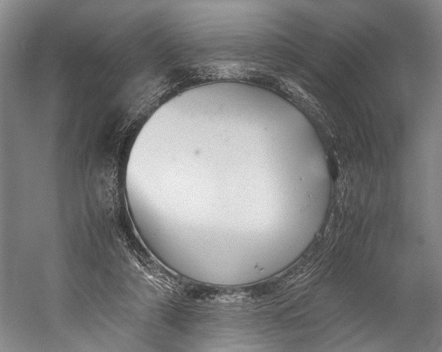 X0000060550306200511171546