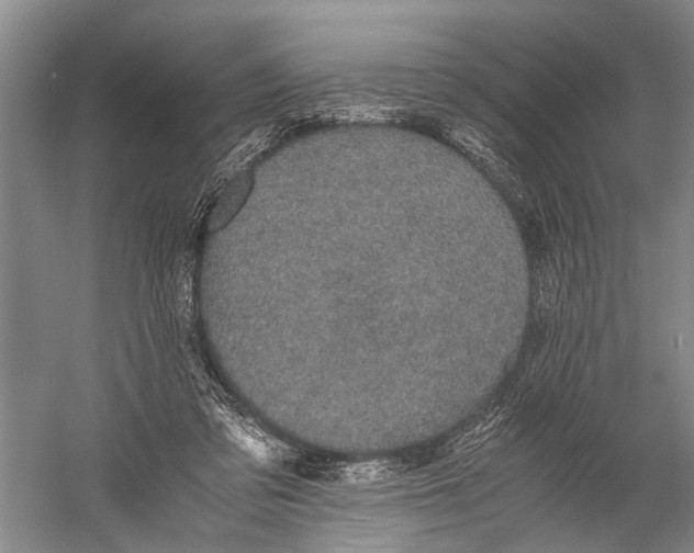 X0000060550309200511171545