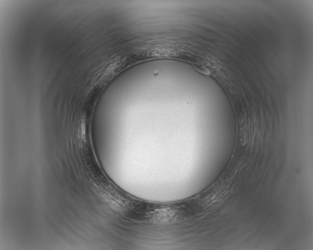 X0000060550310200511171545