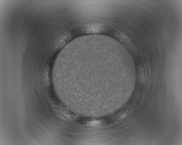 X0000060550312200511171545