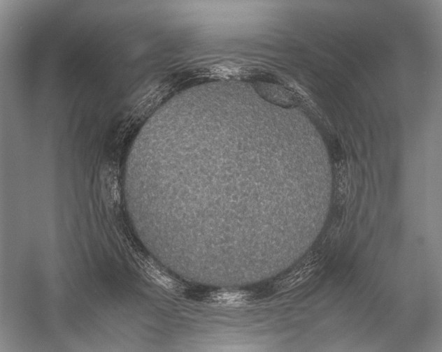 X0000060550313200511171545