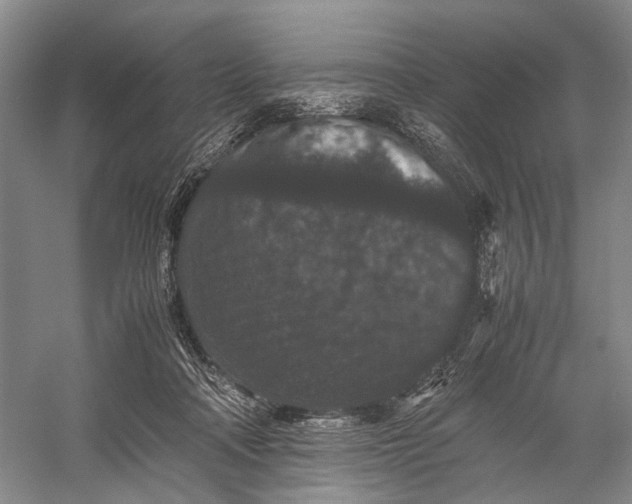 X0000060550314200511171545