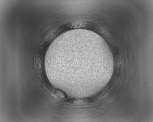 X0000060550315200511171545