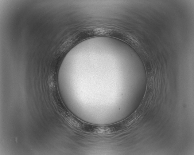 X0000060550317200511171545