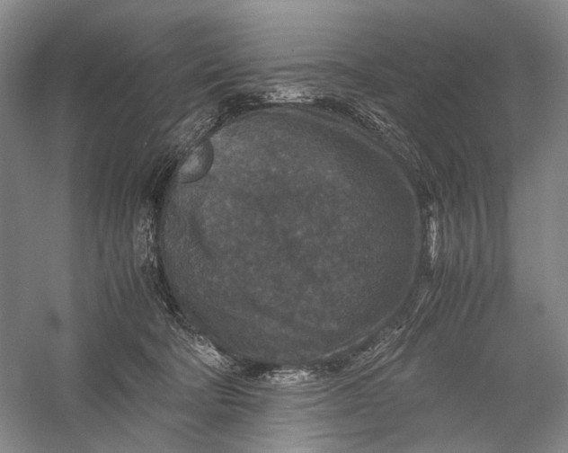 X0000060550322200511171545