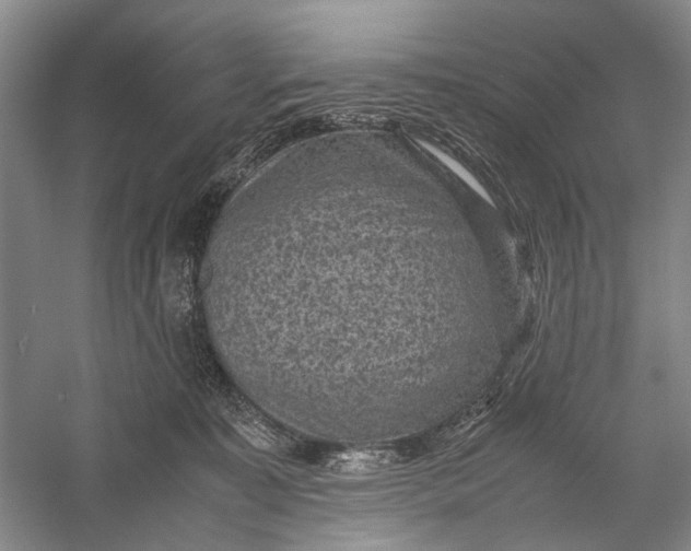 X0000060550323200511171545