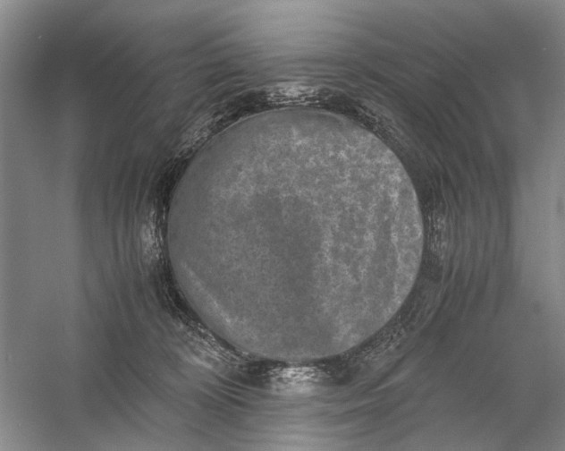 X0000060550324200511171545