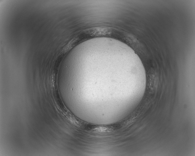 X0000060550326200511171545