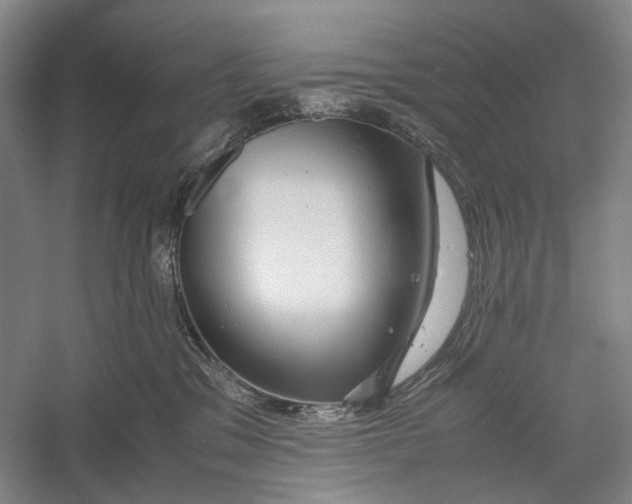 X0000060550329200511171545