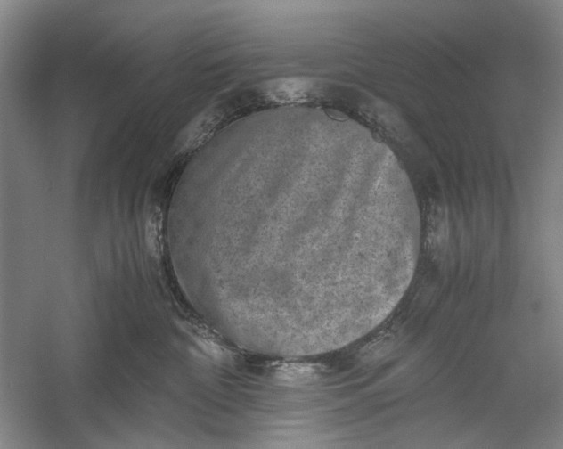 X0000060550332200511171545