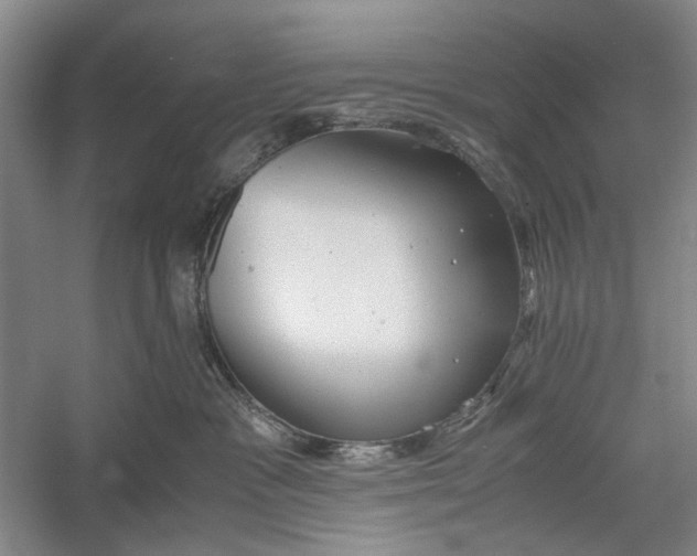 X0000060550333200511171545