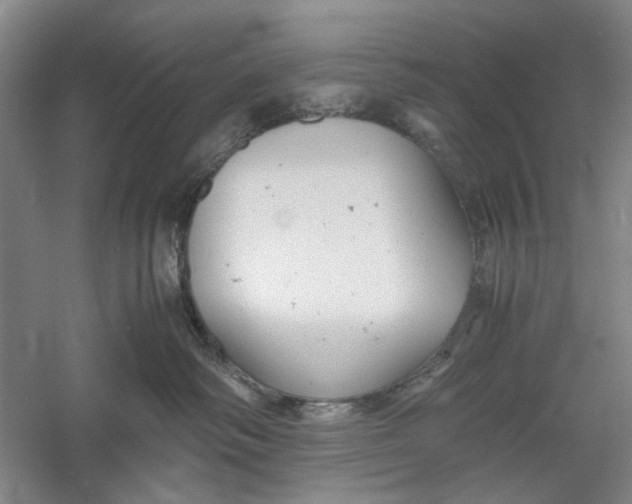 X0000060550334200511171545