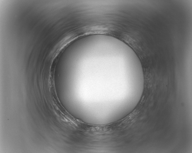 X0000060550338200511171544