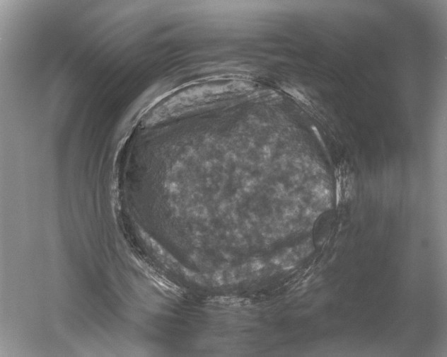 X0000060550339200511171544