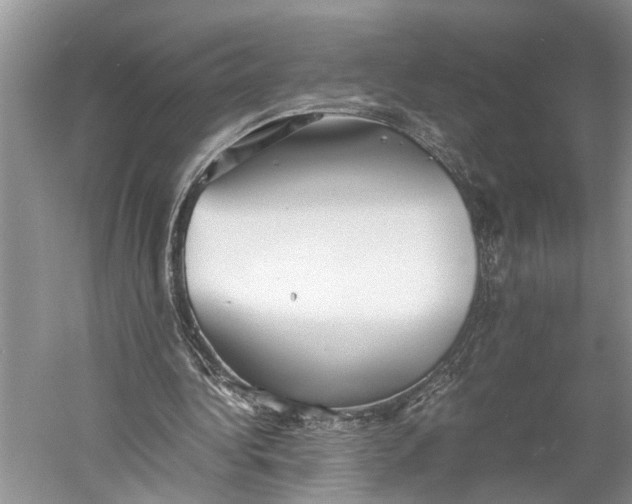 X0000060550340200511171544