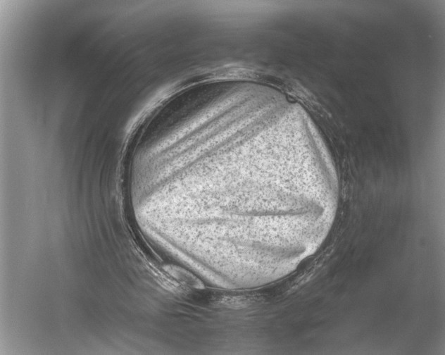 X0000060550341200511171544