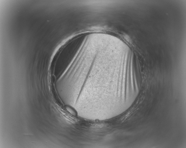 X0000060550342200511171544