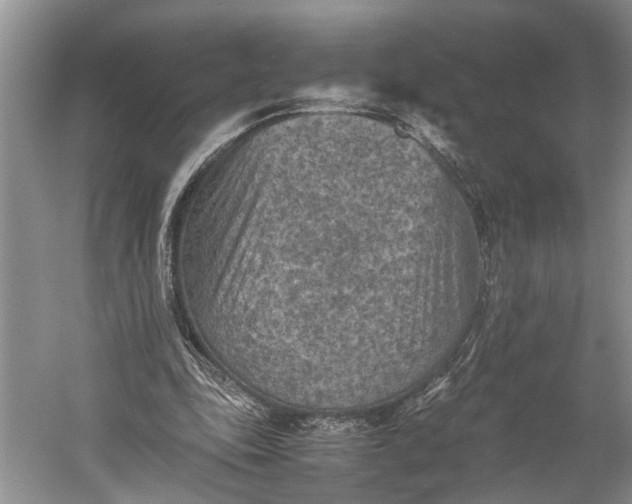 X0000060550343200511171544