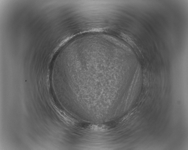 X0000060550346200511171544