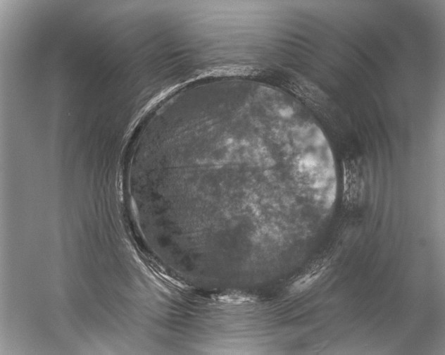 X0000060550348200511171544