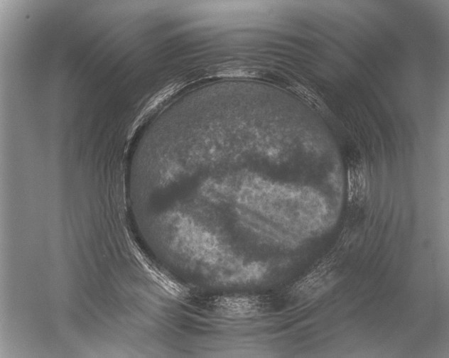 X0000060550349200511171544