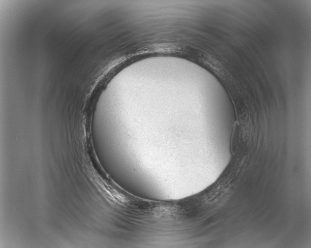 X0000060550350200511171544