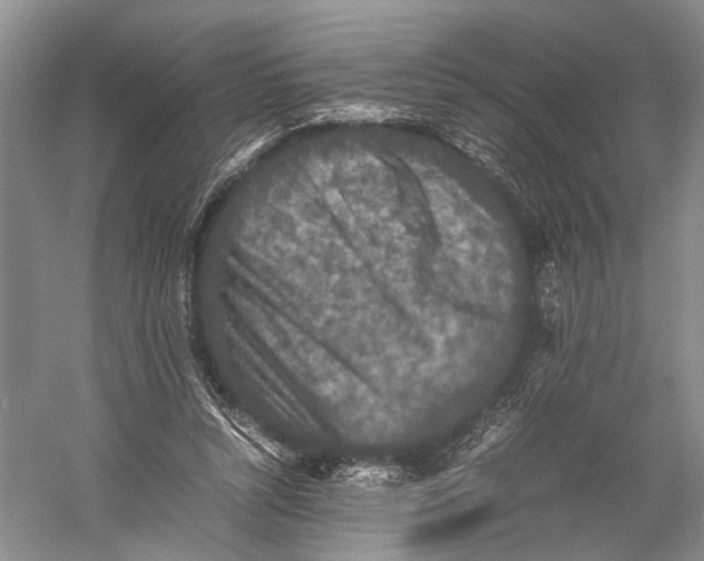 X0000060550352200511171544