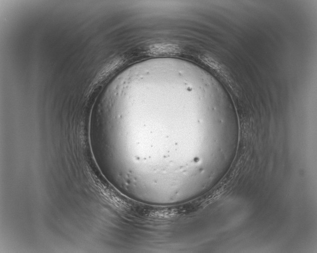 X0000060550353200511171544