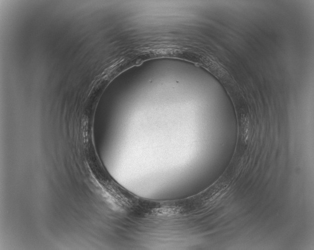 X0000060550356200511171545