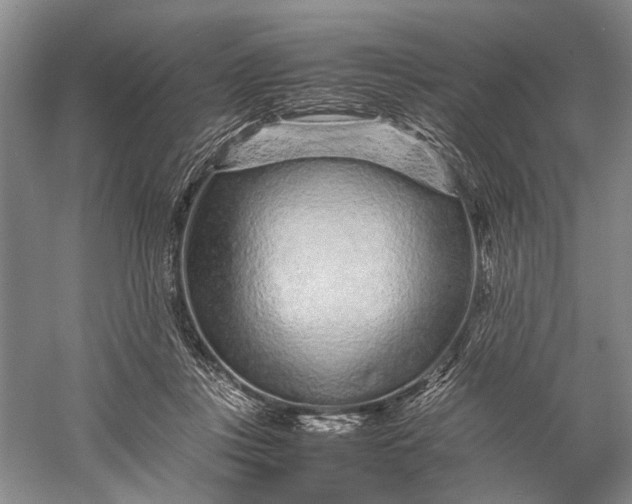 X0000060550359200511171545