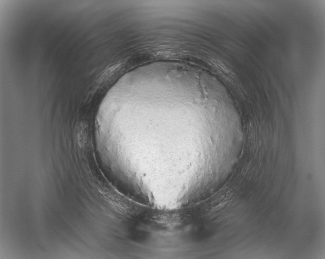 X0000060550361200511171545