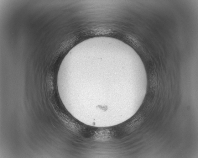 X0000060550362200511171545