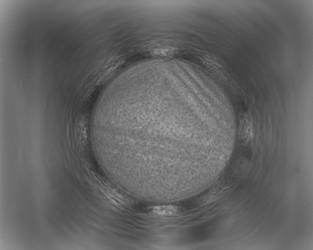 X0000060550363200511171545