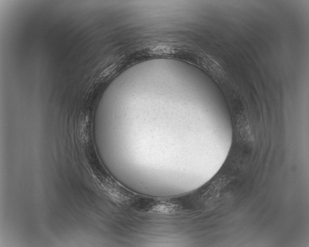 X0000060550364200511171545