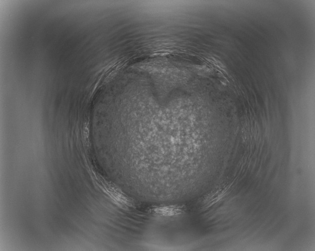 X0000060550365200511171545