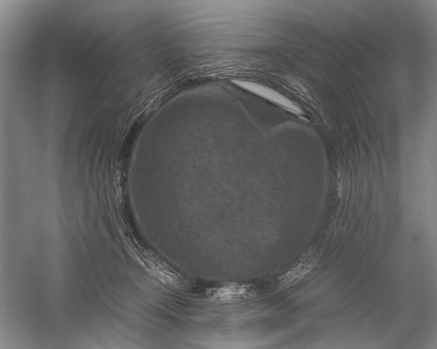 X0000060550366200511171545