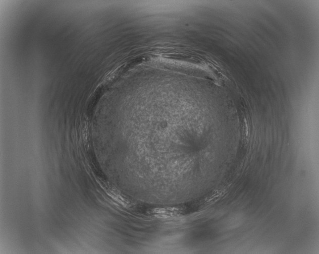 X0000060550367200511171545