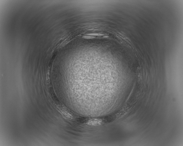 X0000060550369200511171545