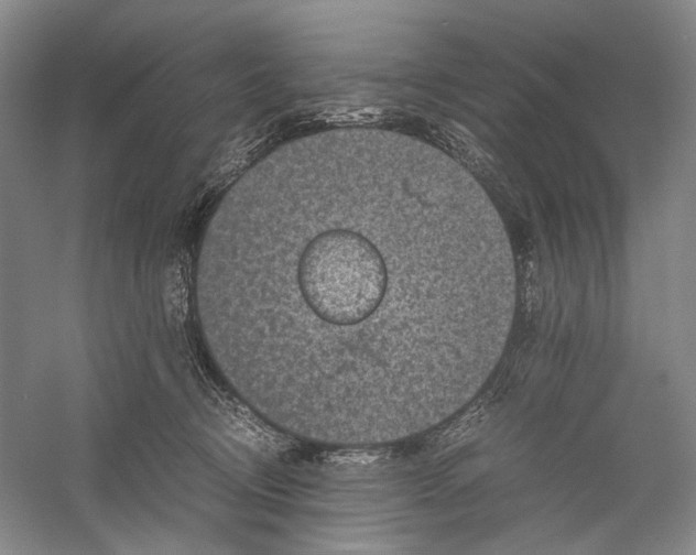 X0000060550370200511171545