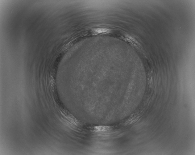 X0000060550371200511171545