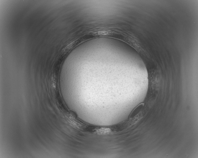 X0000060550374200511171545