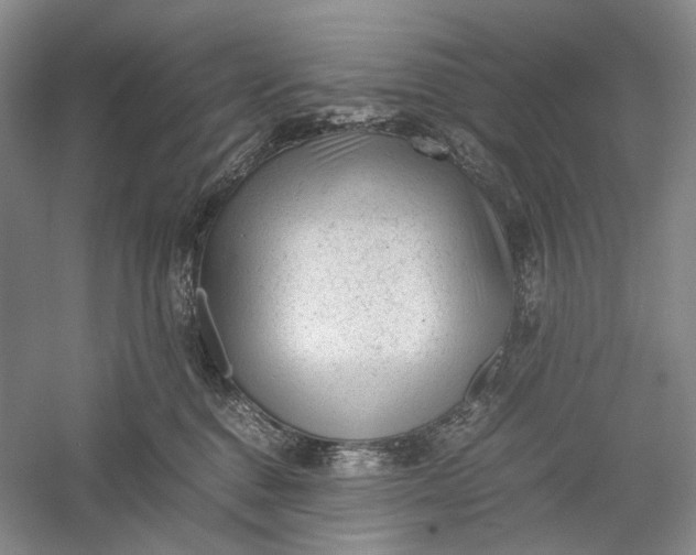 X0000060550376200511171545