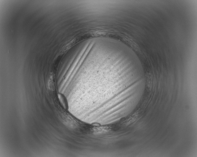 X0000060550378200511171545