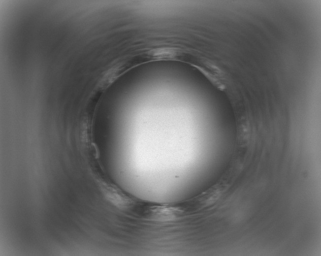 X0000060550379200511171545