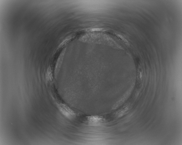 X0000060550380200511171545