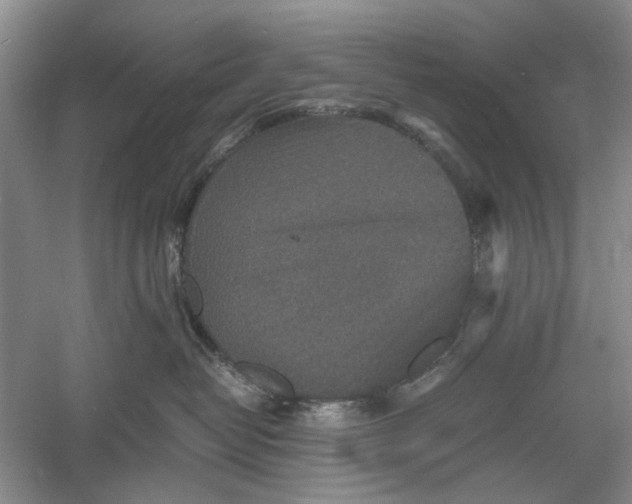 X0000060550382200511171545