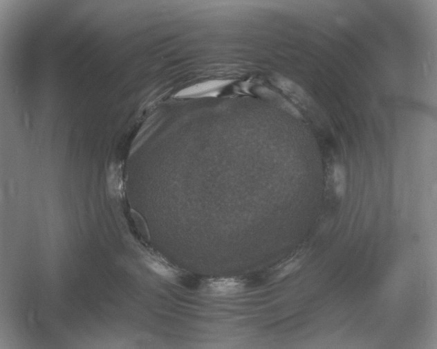 X0000060550383200511171545