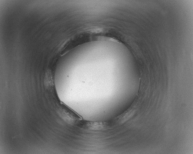 X0000060550384200511171545